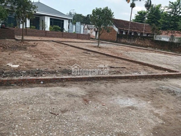 Bán đất 100m2 tại xã Cổ Đông, Sơn Tây, Hà Nội, giá 2,5 tỷ