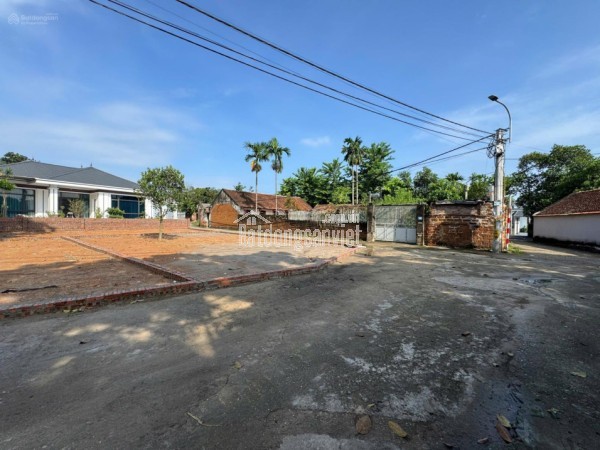 Bán đất 100m2 tại xã Cổ Đông, Sơn Tây, Hà Nội, giá 2,5 tỷ