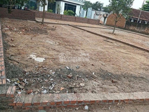 Bán đất 100m2 tại xã Cổ Đông, Sơn Tây, Hà Nội, giá 2,5 tỷ