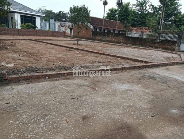 Bán đất 100m2 tại xã Cổ Đông, Sơn Tây, Hà Nội, giá 2,5 tỷ