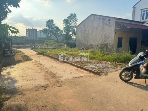 Bán đất 100m2 tại xã Cổ Đông, Sơn Tây, Hà Nội, giá 2,5 tỷ