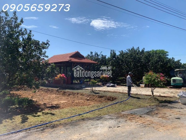 920TRIÊU/260M2 CÓ 100M2 TH CƯ - ĐẤT TRỪ VẮN THỐ - BÀU BÀNG :