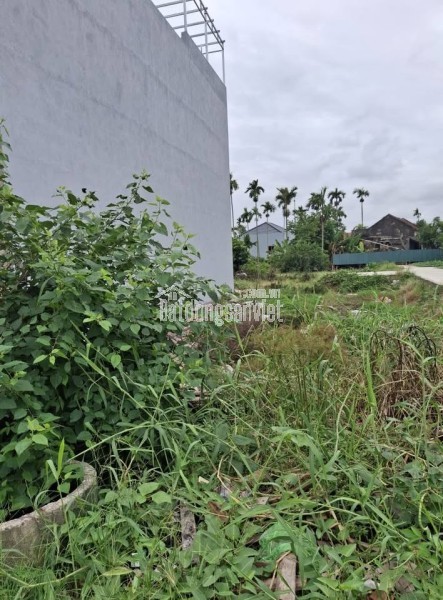 Chính chủ bán đất mặt đường Hàng Tổng Hải An Hải Phòng giá tốt