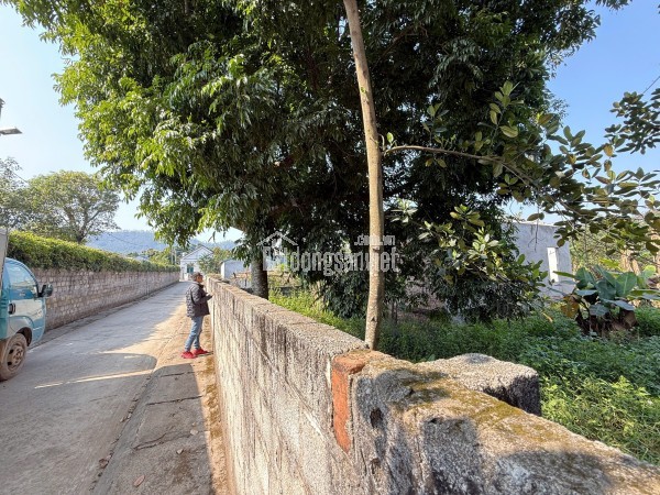 Bán đất Phú Cát – diện tích 250m², mặt tiền 10m, giá hơn 20 triệu/m²