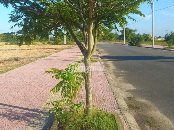 Bán đất tại Đường An Dương Vương, Phường Điện Nam Đông, Thị xã Điện Bàn, Quảng Nam giá 2 tỷ