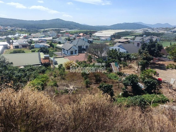 BÁN ĐẤT THỔ CƯ MẶT TIỀN QL20 – XUÂN THỌ, ĐÀ LẠT