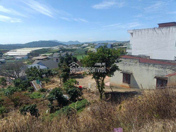 BÁN ĐẤT THỔ CƯ MẶT TIỀN QL20 – XUÂN THỌ, ĐÀ LẠT