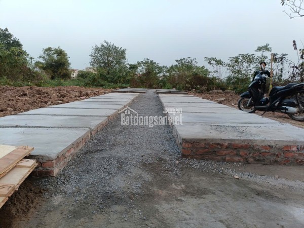 Bán đất huyệt mộ các loại trong Nghĩa trang cao cấp Thôn Cầu Xã Bình Minh