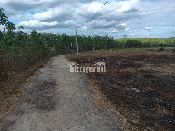 Bán đất tại Xã Lộc Hiệp, Huyện Lộc Ninh, Bình Phước giá Thỏa thuận