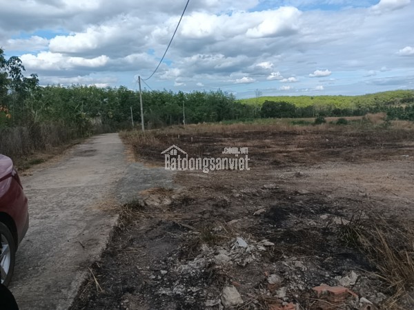 Bán đất tại Xã Lộc Hiệp, Huyện Lộc Ninh, Bình Phước giá Thỏa thuận