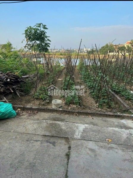 CHÍNH CHỦ CẦN BÁN ĐẤT FULL THỔ CƯ– XÃ THẠCH KHÔI, TP HẢI DƯƠNG, TỈNH HẢI DƯƠNG