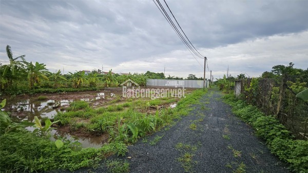 Bán Đất Nông Nghiệp Sài Sơn - Quốc Oai - DT 256m2 - MT 7m - Đường Ô Tô Vào- Gần Đường QH 40m.