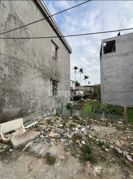 🌟 BÁN ĐẤT NGÕ 216 CÁT LINH – TRÀNG CÁT, HẢI PHÒNG 🌟