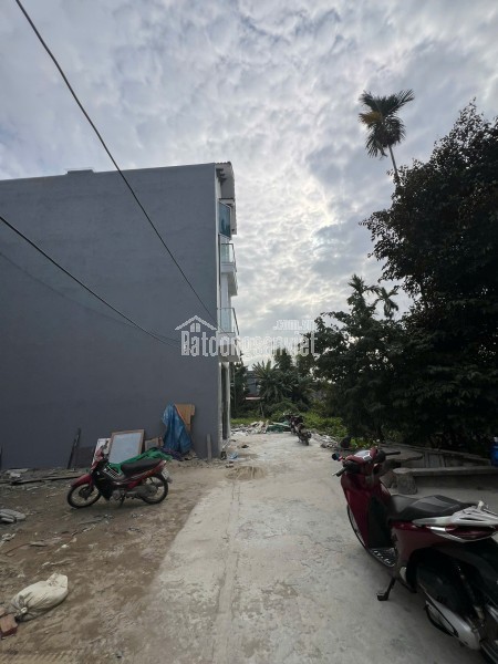 🌟 BÁN ĐẤT NGÕ 216 CÁT LINH – TRÀNG CÁT, HẢI PHÒNG 🌟