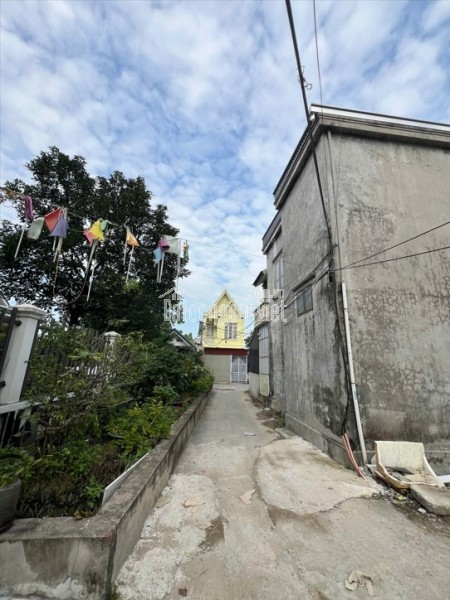 🌟 BÁN ĐẤT NGÕ 216 CÁT LINH – TRÀNG CÁT, HẢI PHÒNG 🌟