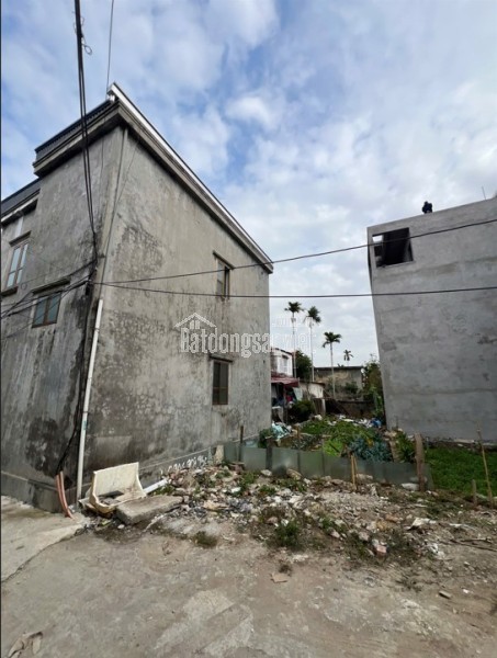 🌟 BÁN ĐẤT NGÕ 216 CÁT LINH – TRÀNG CÁT, HẢI PHÒNG 🌟