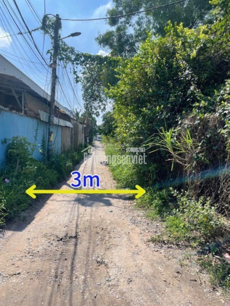 Bán lô đất nền 8,277m2 ngang 93,8m2 tại Huỳnh Thị Mài, Tân Hiệp, Hóc Môn, HCM