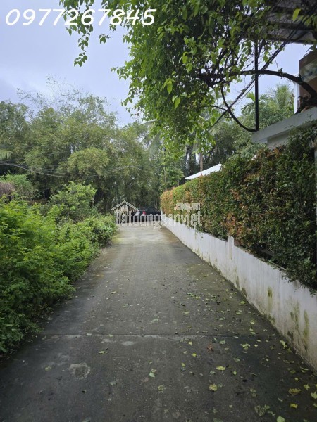 Bán lô đất siêu đẹp Xã Hiệp Phước, TP. Hồ Chí Minh, DT 300m2 full thổ cư, giá đầu tư