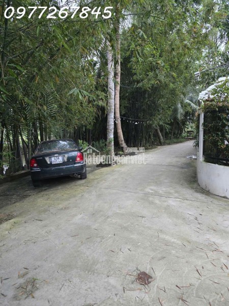 Bán lô đất siêu đẹp Xã Hiệp Phước, TP. Hồ Chí Minh, DT 300m2 full thổ cư, giá đầu tư