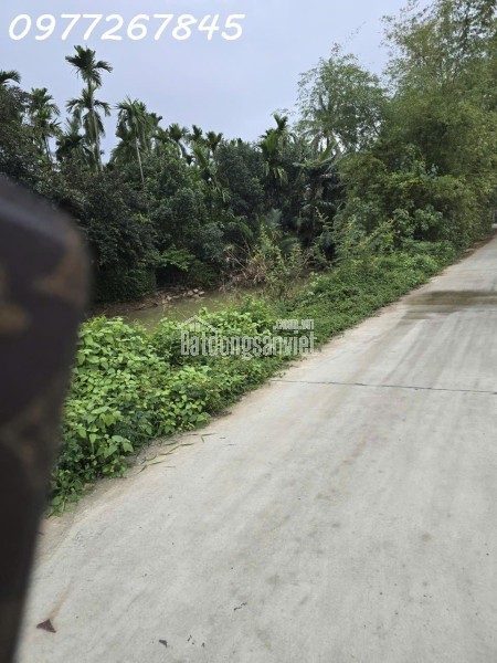 Bán lô đất siêu đẹp Xã Hiệp Phước, TP. Hồ Chí Minh, DT 300m2 full thổ cư, giá đầu tư