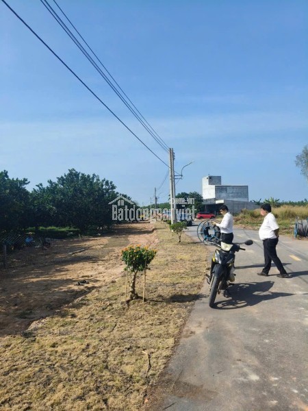 BÁN LÔ ĐẤT VƯỜN BƯỞI DIỆN TÍCH  2100M2 TẠI TRỪ VĂN THỐ