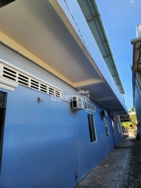 5ha Đất Mặt Tiền tân Thạnh Đông, Củ Chi – Giá Chỉ 2.2 Triệu/m² – Đầu Tư Dài Hạn