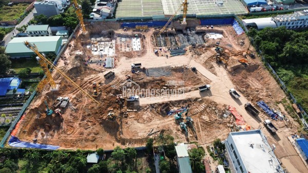 Tiến Độ The Harmonie Phú Mỹ Hưng Bình Dương: Đã San Lấp, Sẵn Sàng Booking 2026