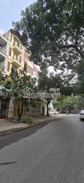 🔅 PHÂN LÔ Ô TÔ TRẦN QUANG DIỆU, ĐỐNG ĐA, 10M RA PHỐ, 57M2 4T MT 5M, CHỈ 23.5 TỶ 🔅