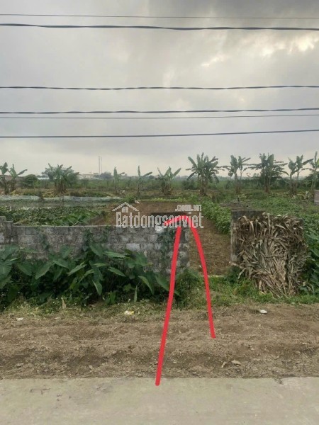 BÁN NHANH LÔ ĐẤT ĐẸP – VUÔNG VẮN - GIÁ TỐT – HƯNG HÀ, THÁI BÌNH