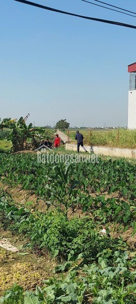 SIÊU PHẨM ĐẤT ĐẸP – CHÍNH CHỦ CẦN  BÁN  GẤP – ĐÔNG HƯNG, THÁI BÌNH