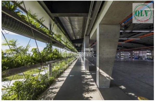 CHO THUÊ NHÀ XƯỞNG 3 TẦNG – KCN NHƠN TRẠCH, ĐN – 18.144m²