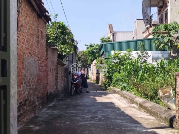 Bán đất thôn La A – Cẩm Giàng, ô tô vào tận nơi, giá chỉ 800 triệu