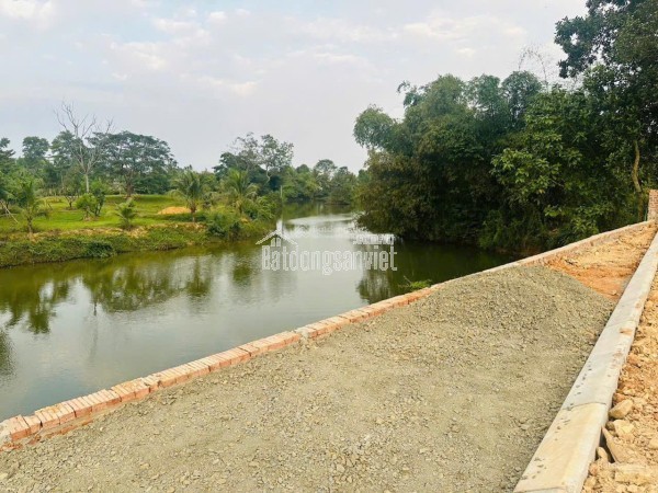 🔥 CẦN BÁN GẤP BIỆT THỰ TRUNG TÂM THƯỜNG TÍN – VIEW HỒ, MẶT ĐƯỜNG LỚN 🔥