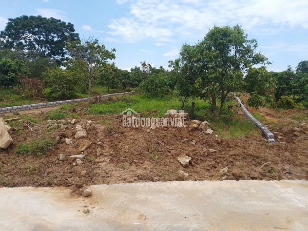 ĐẤT NỀN CHŨ BẮC NINH GIÁ 380 TRIỆU  400M2  ĐƯỜNG Ô TÔ  Nguyễn Hùng BĐS - 0989333012