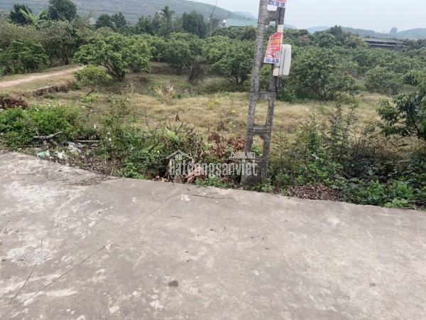 ĐẤT NỀN CHŨ BẮC NINH GIÁ 450 TRIỆU  420M2  TIỆN ÍCH ĐẦY ĐỦ  Nguyễn Hùng BĐS - 0989333012