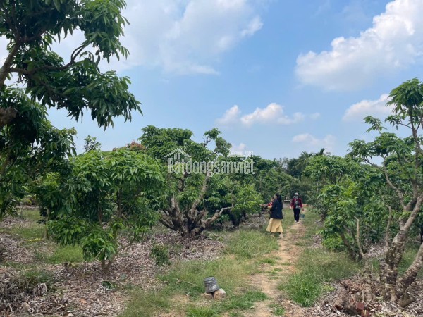 ĐẤT NỀN CHŨ BẮC NINH GIÁ 320 TRIỆU  DIỆN TÍCH 360M2  GẦN KHU DÂN CƯ  Nguyễn Hùng BĐS - 0989333012