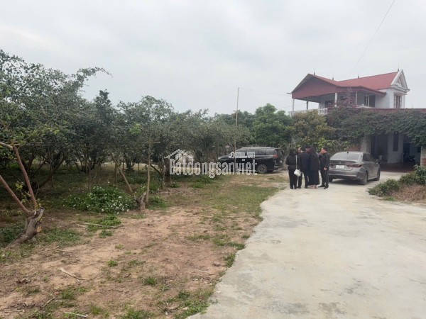 ĐẤT NỀN CHŨ BẮC NINH GIÁ 690 TRIỆU  470M2  PHÁP LÝ RÕ RÀNG  Nguyễn Hùng BĐS - 0989333012