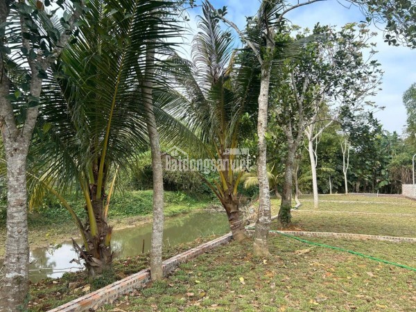 ĐẤT Ở TRUNG TÂM DU LỊCH KIM BÔI – GIÁ CHỈ TỪ 3XX TRIỆU