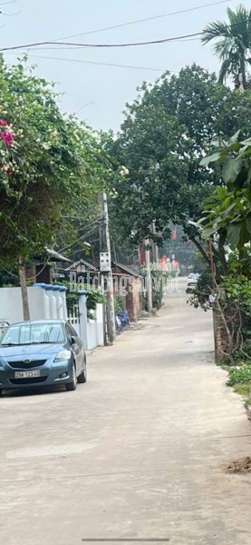 CHÍNH CHỦ CẦN BÁN GẤP ĐẤT THẮNG TRÍ (minh trí) Sóc Sơn 196m2  M.Tiền 6.75m Giá 23triệu/m2