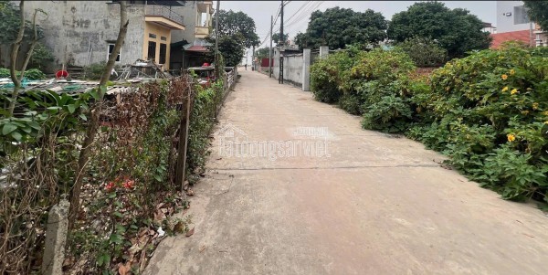 CHÍNH CHỦ CẦN BÁN GẤP ĐẤT THẮNG TRÍ (minh trí) Sóc Sơn 196m2  M.Tiền 6.75m Giá 23triệu/m2