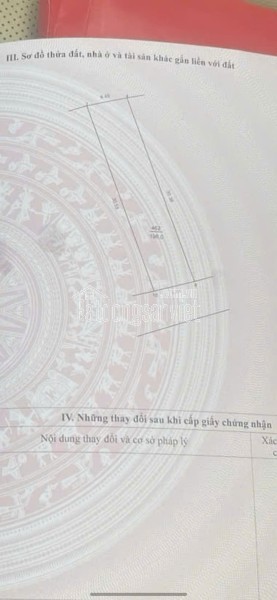 CHÍNH CHỦ CẦN BÁN GẤP ĐẤT THẮNG TRÍ (minh trí) Sóc Sơn 196m2  M.Tiền 6.75m Giá 23triệu/m2