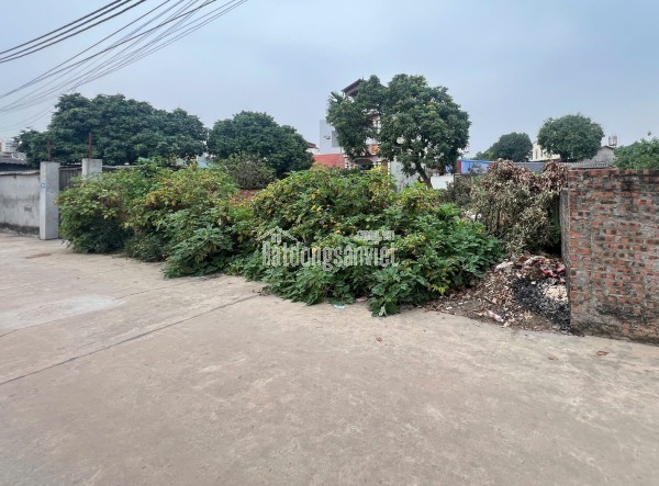 CHÍNH CHỦ CẦN BÁN GẤP ĐẤT THẮNG TRÍ (minh trí) Sóc Sơn 196m2  M.Tiền 6.75m Giá 23triệu/m2