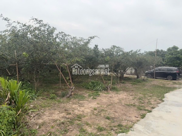 . ĐẤT NỀN CHŨ BẮC NINH GIÁ 450 TRIỆU  420M2  TIỆN ÍCH SẴN  Nguyễn Hùng BĐS - 0989333012