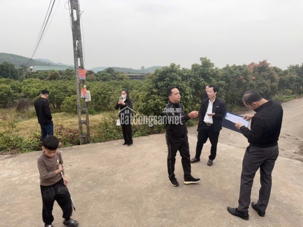 ĐẤT NỀN CHŨ BẮC NINH GIÁ 580 TRIỆU  480M2  ĐẦU TƯ TIỀM NĂNG  Nguyễn Hùng BĐS - 0989333012