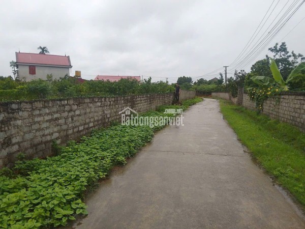 ĐẤT NỀN CHŨ BẮC NINH GIÁ 480 TRIỆU  400M2  ĐƯỜNG THUẬN TIỆN  Nguyễn Hùng BĐS - 0989333012