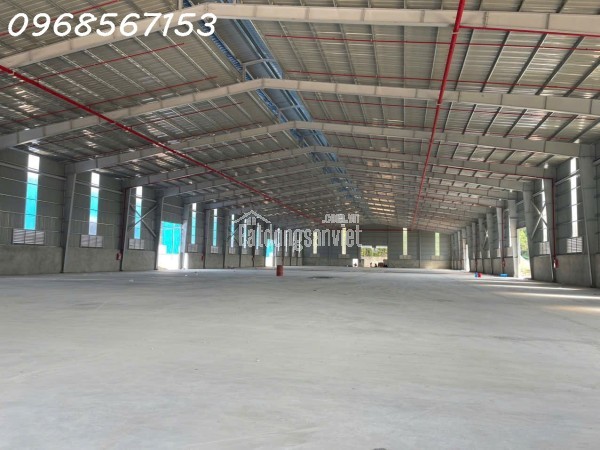 Cho thuê cụm kho xưởng 11.000m² mới xây – Bàu Bàng / Bến Cát – điện 1.000KVA