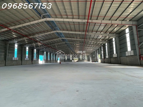 Cho thuê cụm kho xưởng 11.000m² mới xây – Bàu Bàng / Bến Cát – điện 1.000KVA