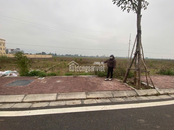 🌹 BÁN ĐẤT ĐẤU GIÁ  KÊNH ĐÀO - AN MỸ – MỸ ĐỨC 🌹