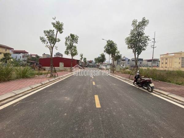 🌹 BÁN ĐẤT ĐẤU GIÁ  KÊNH ĐÀO - AN MỸ – MỸ ĐỨC 🌹