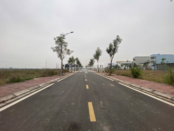 🌹 BÁN ĐẤT ĐẤU GIÁ  KÊNH ĐÀO - AN MỸ – MỸ ĐỨC 🌹